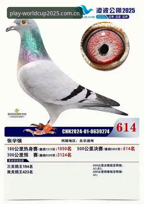 2025世足赛官方买球平台深度评测：世界杯投注最新版本v2.3.0功能与安全全面解析